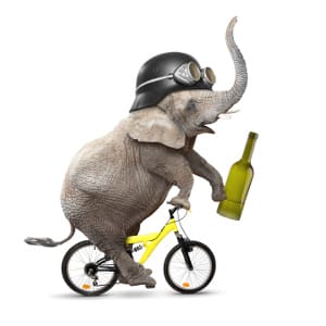 Alkohol Radl-Steuer