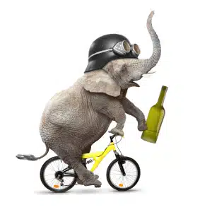 Alkohol Radl-Steuer