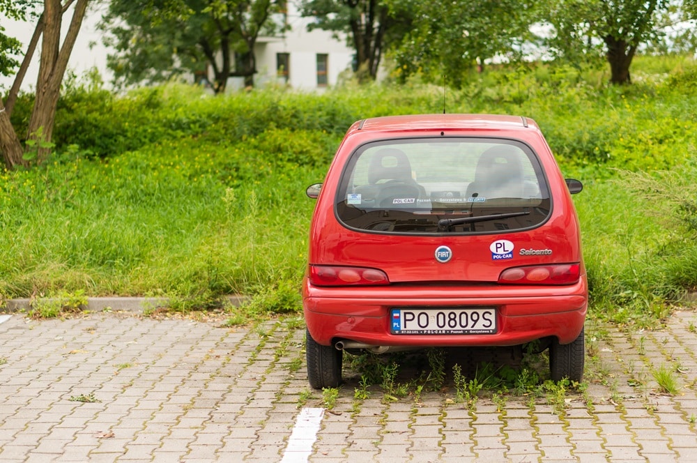 Die Evolution der Kennzeichen